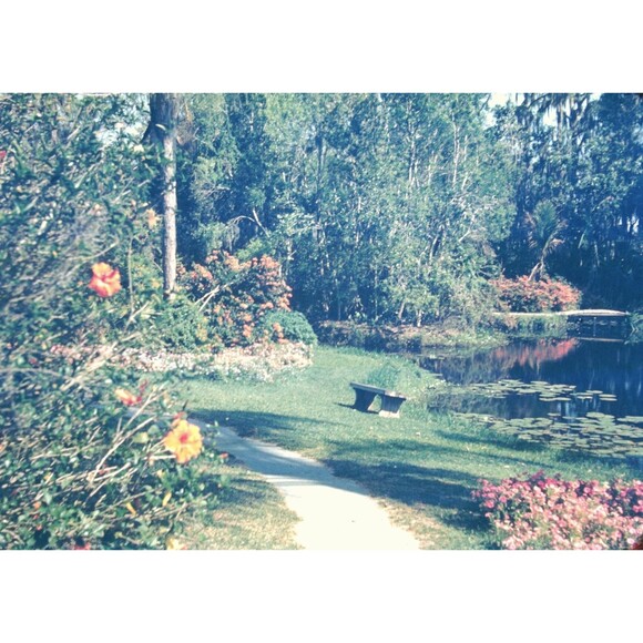 Other - Kodak Slide 35mm 1940s Red Border, Cypress Gardens in Winter Haven, Florida